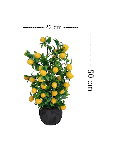 Limon Ağacı Mutfak Süsü 50 Cm Antrasit Saksıda