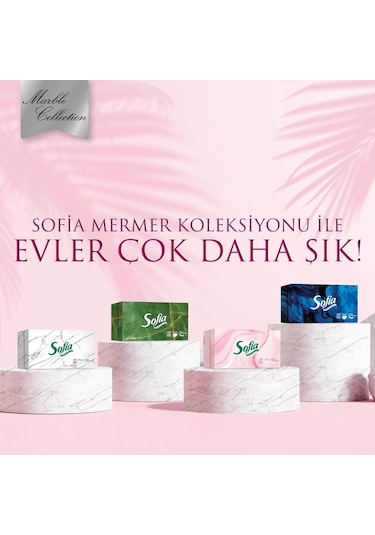 Sofia Kutu Mendil 100 Yaprak X 4 Açık Gri