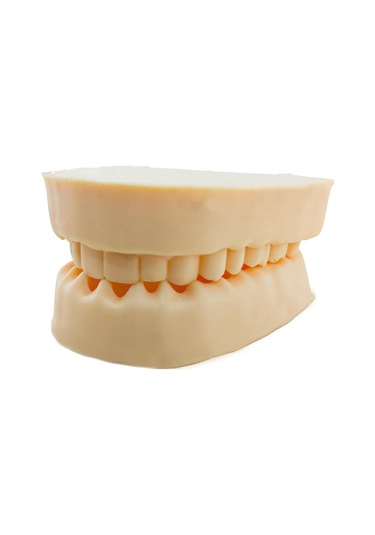 Barışhan Medikal Silikon Çene Diş Dikiş Modeli Ortodontik Alt Üst Çene Periodontal Sütür Eğitim Modeli-5