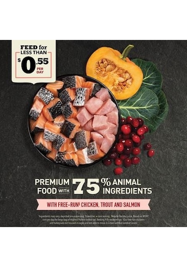 Acana Indoor Yüksek Proteinli Yetişkin Kedi Maması 4500 G