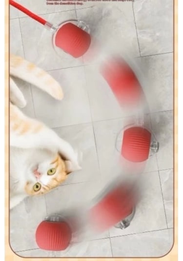 Şarjlı Kedi Oyuncağı