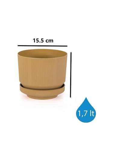 Omnipazar So-s281 Dekoratif Tabaklı Lüks Çizgi Desenli Saksı 1.7 Litre Gold
