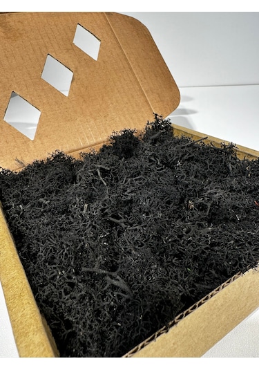 Reindermoss Şoklanmış Norveç Yosunu Terarium Yosunu Siyah 100 Gr.