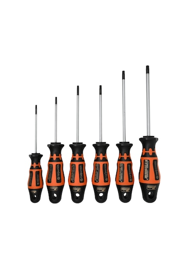 Retta Rxt6100 Torx Delikli Tornavida Seti 6 Lı