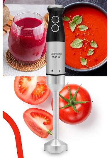 Goldmaster Fast Stick GM-7205 1500 W Blender Seti