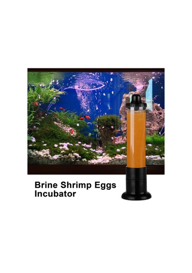 Qianfan Salamura Karides Yumurtası Kuluçka Makinesi, Kuluçka