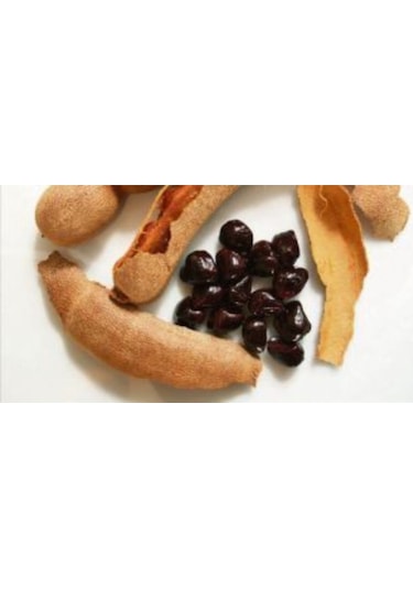 Ithal Tamarind Tohumu Ekim Seti