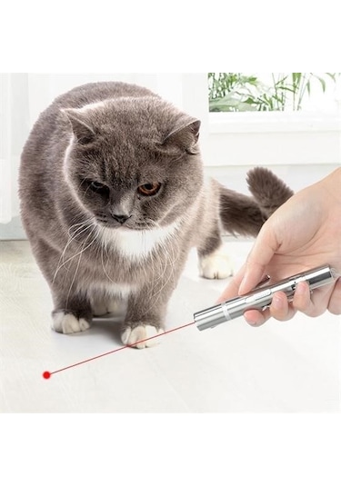 Woody Sofia Usb İle Şarj Edilebilen 3ın 1 Kırmızı Işık +beyaz Led Meşale Işık + Uv El Feneri Kedi Lazeri