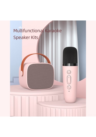 Springsun P2 Modeli Pembe Tek Mikrofonlu Kablosuz Bluetooth Hoparlör - Karaoke İçin Echo Efekti Ve 6w Güçlü Ses