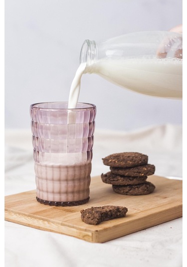 Allegra Mürdüm Akrilik Bardak 400 Ml Şık Su Ve Meşrubat Bardağı Cam Değildir Kırılmaya Dayanık