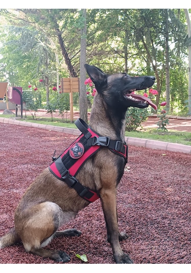 Tactical Göğüs Tasması Taktik Tasma Kırmızı