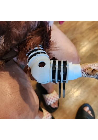 Brightnova Siyah Tavuk Veya Ördek Bütün But Ve Ayak Splinti