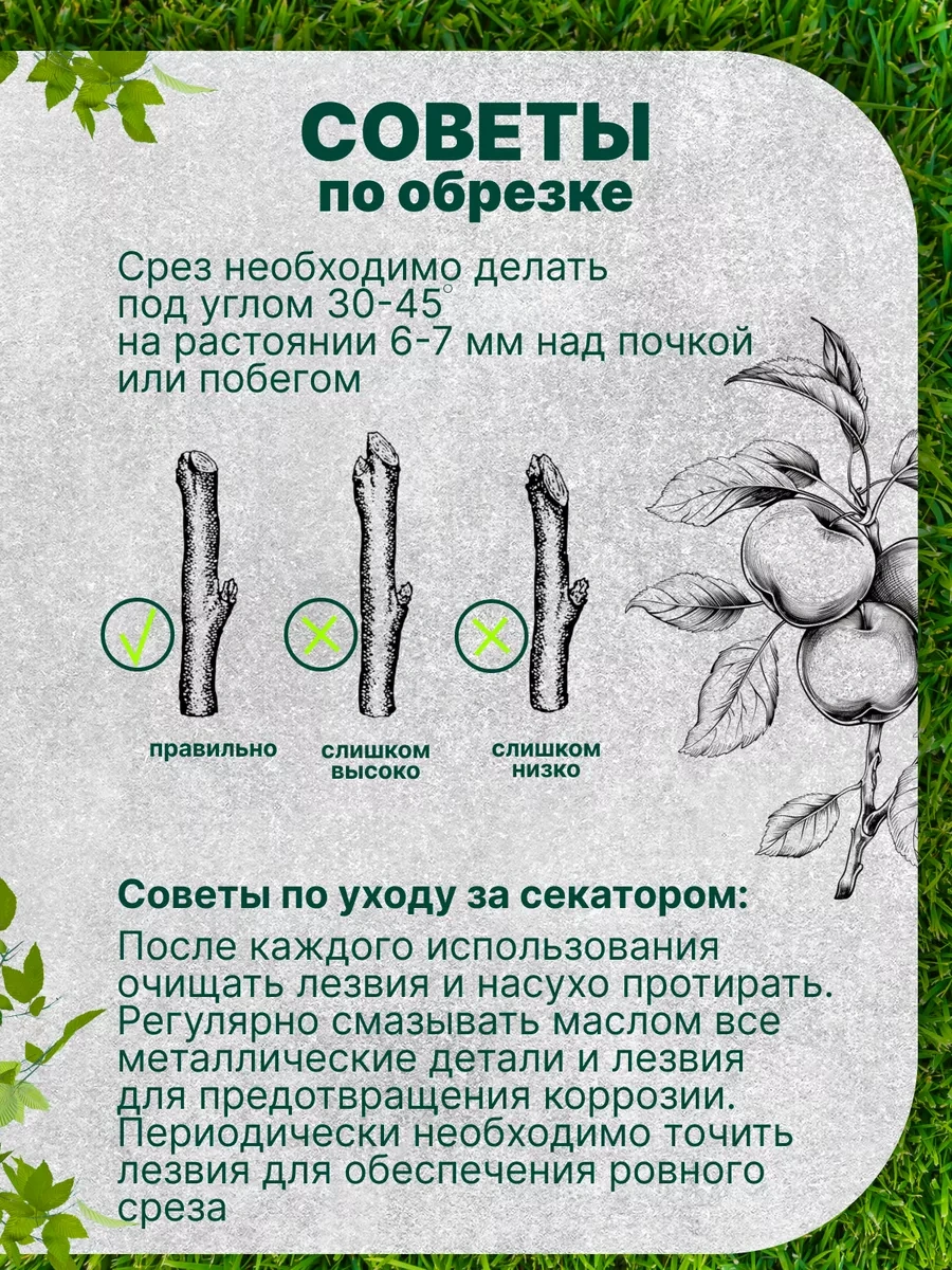 Serviskom Bahçe Budama Makası 215708702