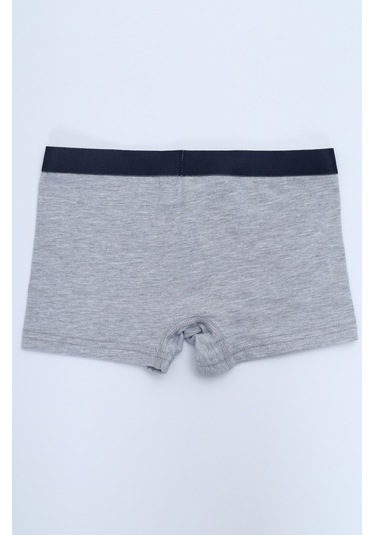 Toontoy Erkek Çocuk Baskılı Düz Desenli 4lü Paket Boxer Çok Renkli