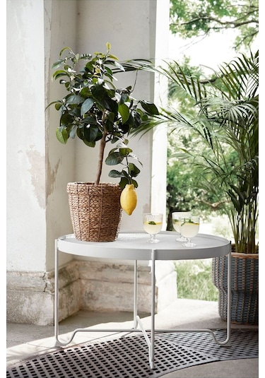 Rattan Saksı, Deniz Sazı, 19 Cm 3 Adet