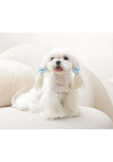 M-pets Glam Fiyonklu Kedi Ve Köpekler İçin Aksesuar Toka Mavi Mavi