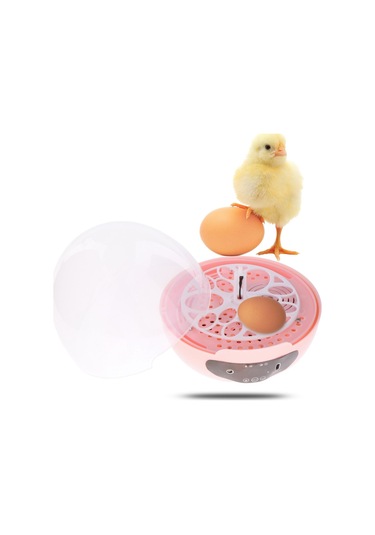 Suntek Hafif Akıllı Hatcher 3 Egg Auto Pink Ile Çocuklar Için