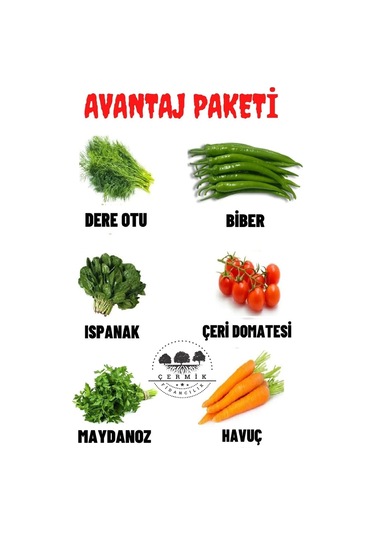 Dereotu ,biber , Ispanak, Çeri Domates , Maydanoz , Havuç 60 Gr