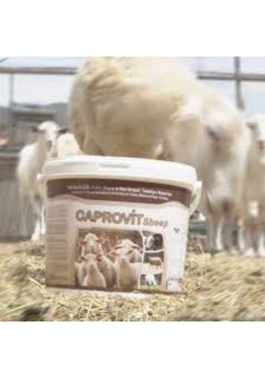 Royal İlaç Royal Caprovit Sheep 25 Kg