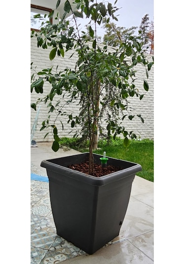 İç Mekan Dış Mekan Kendi Kendini Sulayan 2 Adet Akıllı Saksı