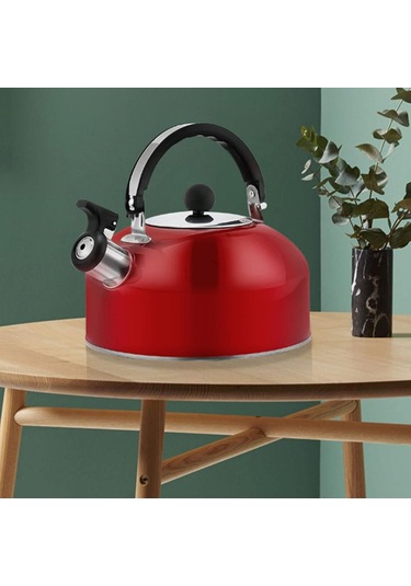 Islık Çayı Su Isıtıcısı Paslanmaz Çelik 410, İnfuser Ve Kayma Saplı Çaydanlık Sobası Üstü Çelik