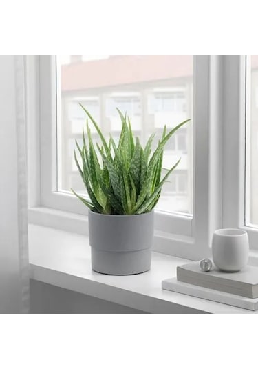 Sumuhome Nypon Dekoratif Plastik Saksı Gri 12 Cm
