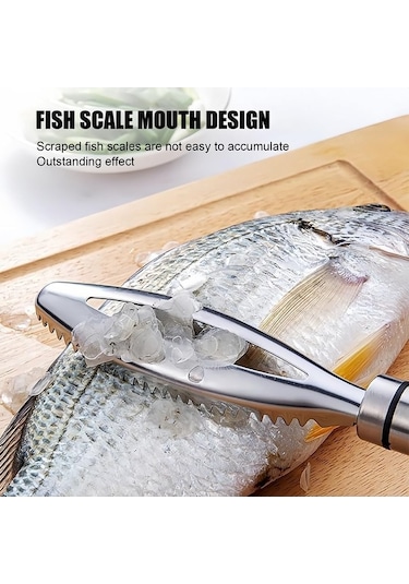 Çok İşlevli Paslanmaz Çelik Balık Pulları Kazıyıcı, Temizleme Kiti - Ev Pazar Restoran İçin 1 Adet Diğer