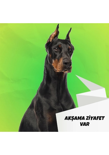 Barftr Mix Barf 20 Kg Aç Bitir Paket Köpek Maması-8