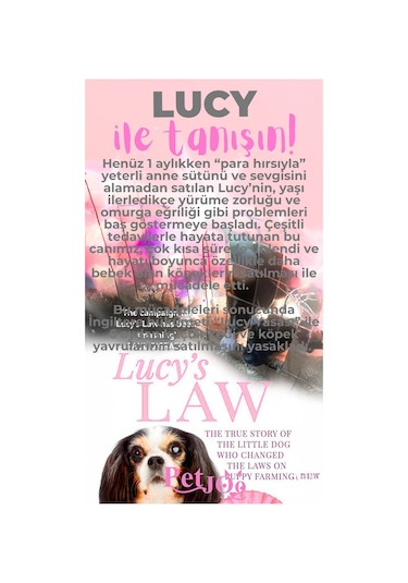 Petjoo 11.Lucy Pembe-Gri Qr'lı Köpek Künyesi