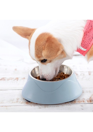 Sones Evcil Hayvan Mama Kasesi Paslanmaz Çelik Köpek Kedi Çift Kullanımlı Kase