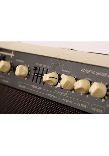 Cort Af30 Akustik Gitar Amfisi