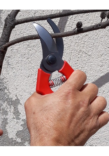 Bağ Bahçe Agaç Dal Keme Budama Bahçe Seti Testere Dal Makası Bağ