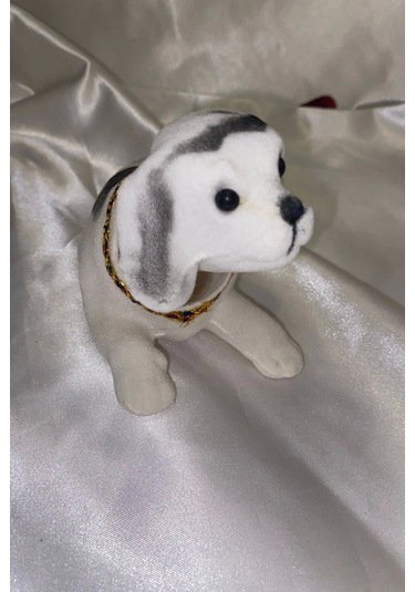 Golden Retriever Kafa Sallayan Köpek Başını Sallayan Köpek Sallanan Köpek Beyaz