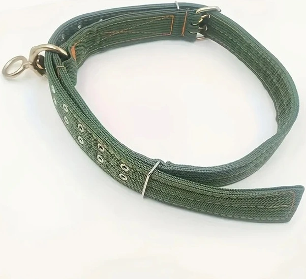 Trendooze Güneş022 L Model Kalın 4 Katlı Tokalı İnek Boyunluğu Dayanıklı Kanvas Tasma Robalı İnek Koyun At Köpek