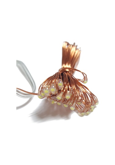 Dianziye 5m 50 Led Isınma Beyazı Bakır Tel Işıklı Zincir, 3aa Pilli Pil Yok Ev Bayram Düğün Noel Dekorasyonu, Ip44 Suya Dayanıklı