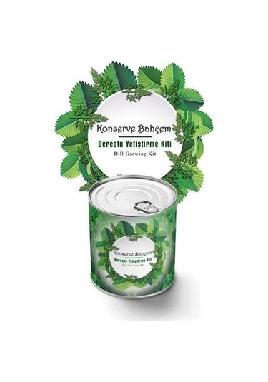 Buffer Konserve Bahçem Evde Konservede Dereotu Yetiştirme Kiti Aparatı Mavi
