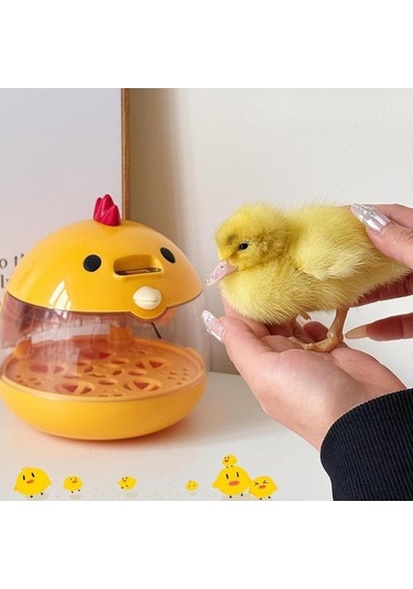 Pazly Yumurta Tavukları İçin Suntek Kuluçka Makinesi İle Kuluçka Kaz Xs