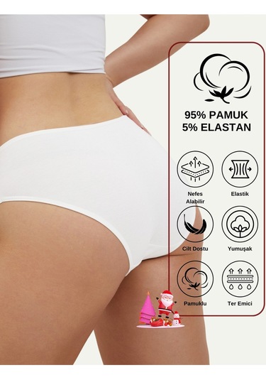 Alya Underwear Kadın Pamuklu Hipster - Slip Külot 5 Farklı Renk 1 Pakette Çok Renkli P51