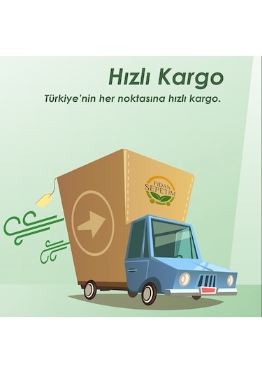 3'lü İç Mekan Bitkileri Paketi