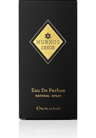 Nurxos 9788 Cesur Erkek Parfümü 8681124697882 65 ML