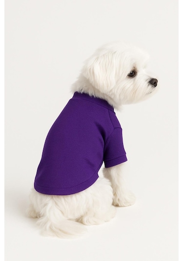 Gedyco Mor Küçük Irk Köpek Likralı Triko