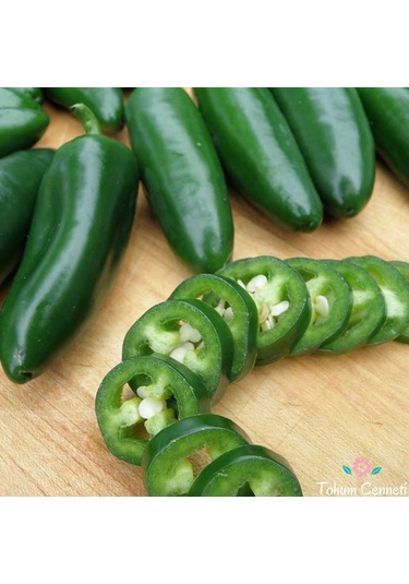 200 Adet Biber Tohumu Jalapeno 100 De 100 Çimlenme Garantili.....