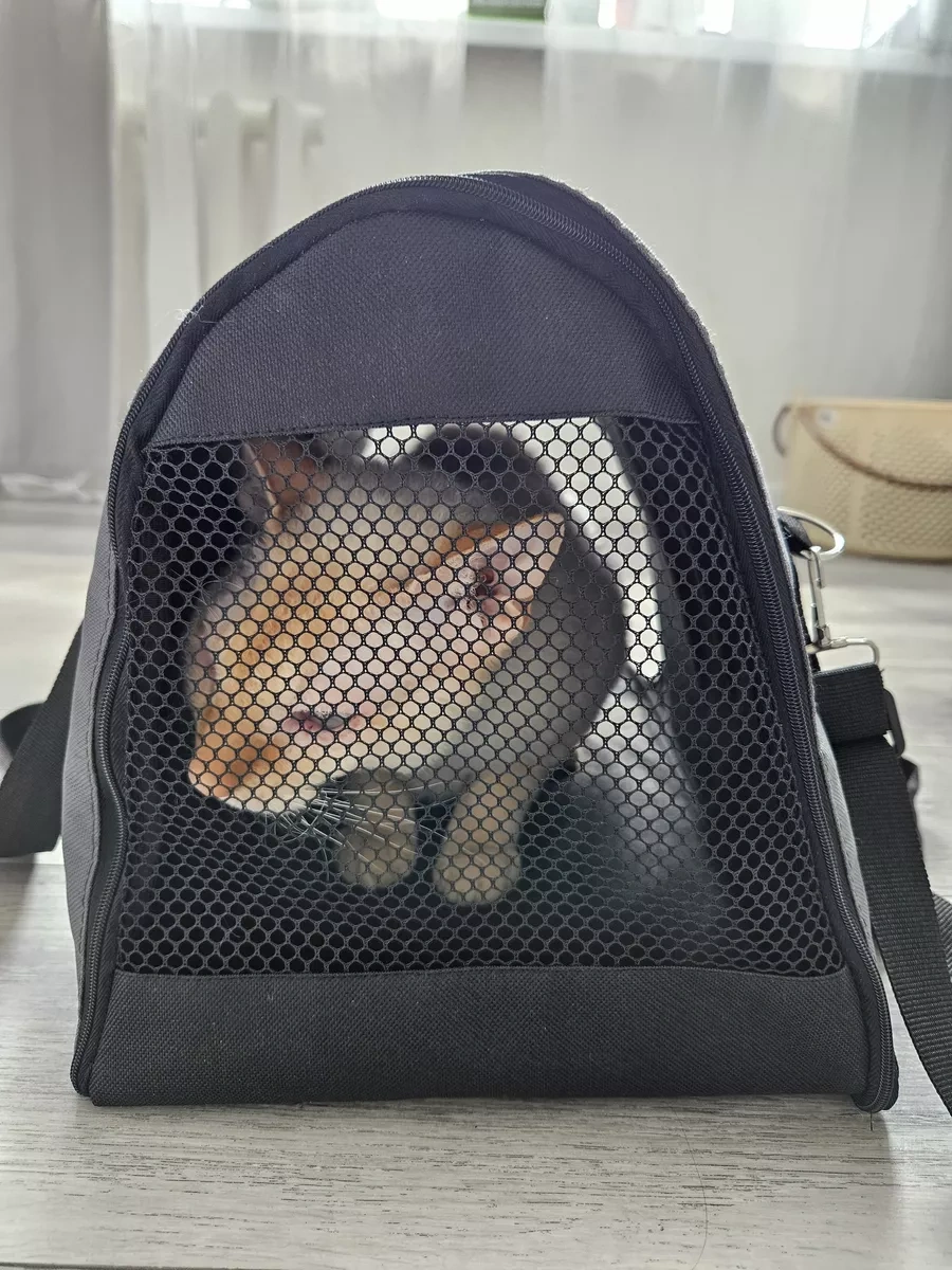 Mercity Kedi Ve Köpekler İçin Taşıma Çantası 216880374