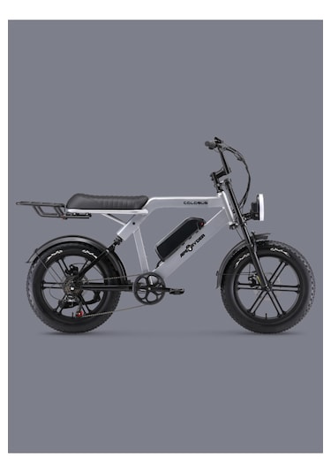 Ape Ryder Colobus Elektrikli Bisiklet 750w - Gri
