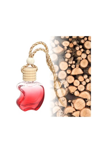 Elizya Fresh Elma Şişe Askılı Araç Kokusu 2 Adet Odunsu Kokulu