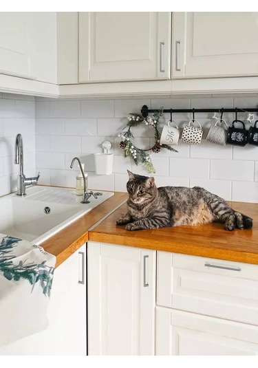 Centr Mebel'noj Furnitury Mutfak Dolabı Kolu 160 Mm Mat Krom 2 Adet 246609787 Siyah