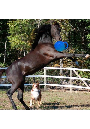 Homyl At Oyuncak Oyun Topu Meyve Kokulu Pet Joy Rastgele-renk Rastgele Renk