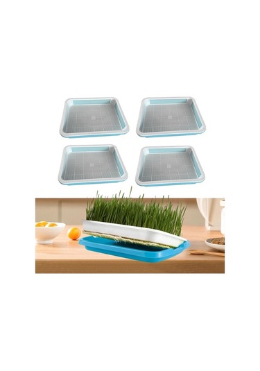 Trendooze 4 Adet Bahçe Filizleme Tepsisi Buğday Çimi Seti