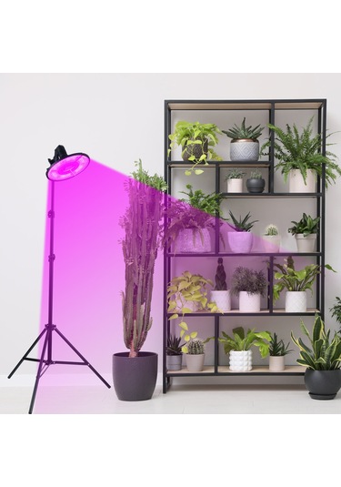 Hfambition Fotoğraf Ve Canlı Yayın Aydınlatma Işığı Tripod, E27 Ampul Başlıklı 50cm Işık Sehpası