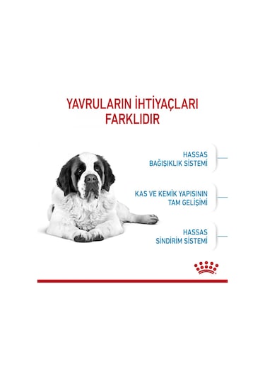 Royal Canin Giant Junior Dev Irk Yavru Köpek Maması 15 KG